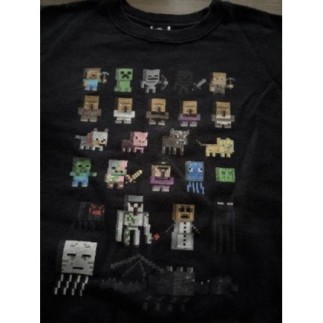 Sweat MINECRAFT - 12/13ans 