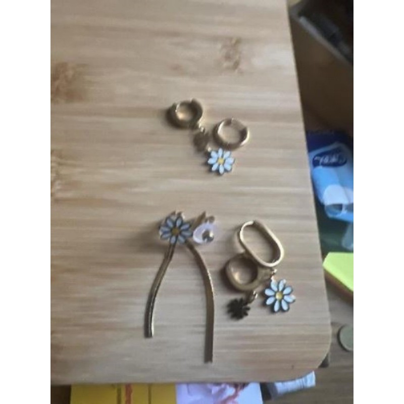 Boucle d’oreille en acier inoxydable 