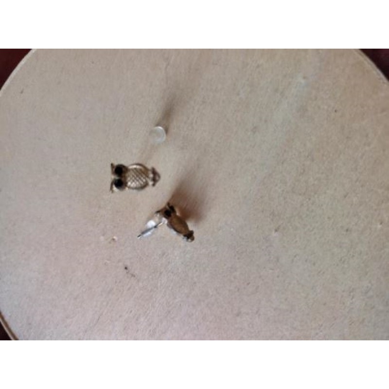 Ly-Boucles d'oreilles petits hiboux