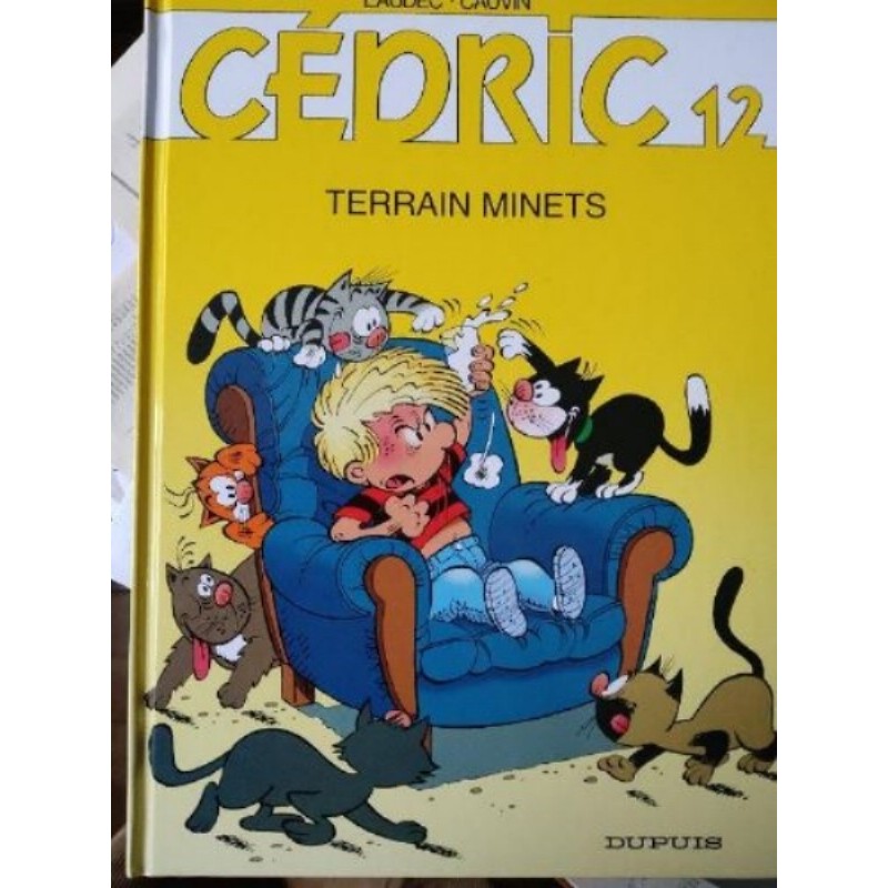 Bd CEDRIC 12 TERRAIN MINETS