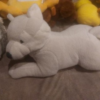 Peluche regarde antartique