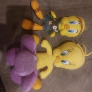 Peluche titi de titi et...