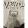 Sweat à capuche beige Harvard Taille S