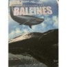 Découvre les baleines 