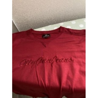 RC Pull léger  Olly gan T4