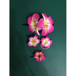 Lot de 4 accessoires...