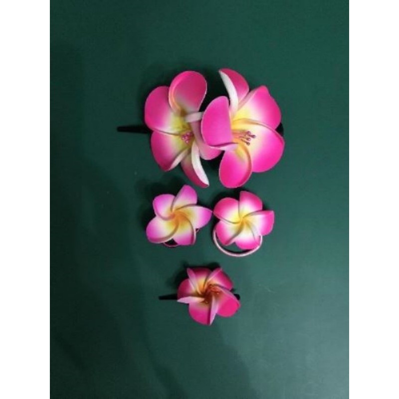 Lot de 4 accessoires hawaïens pour cheveux (rose)