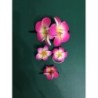 Lot de 4 accessoires hawaïens pour cheveux (rose)