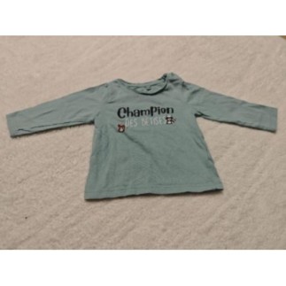 Pull champion des bêtises -...