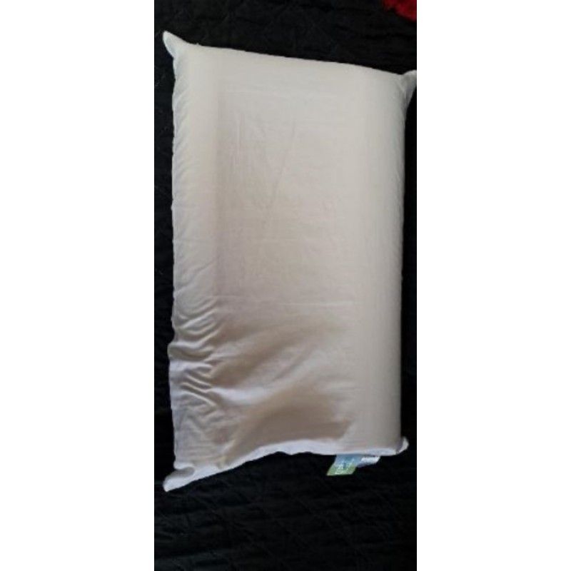 Oreiller ergonomique aegis