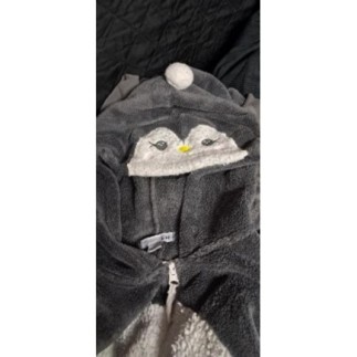 Déguisement polaire...