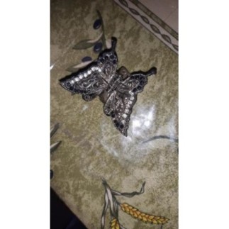 PINCE PAPILLON POUR CHEVEUX