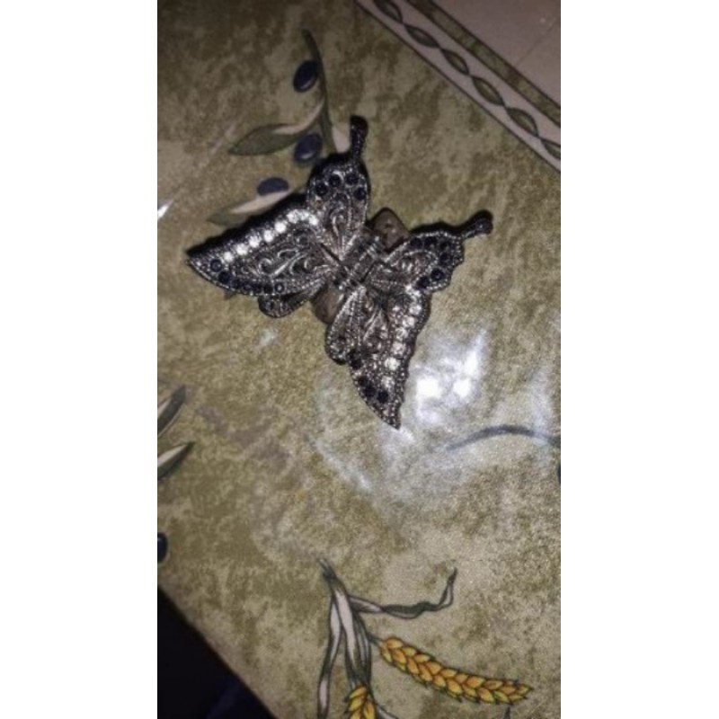 PINCE PAPILLON POUR CHEVEUX