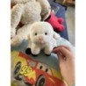 Peluche mouton 