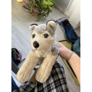 Peluche loup 
