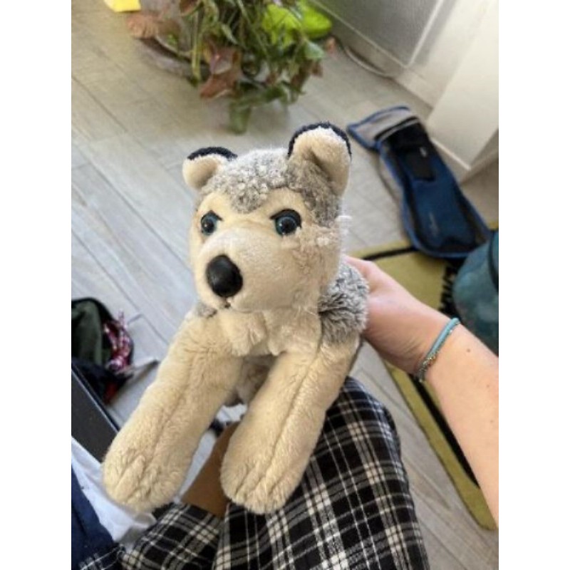 Peluche loup 