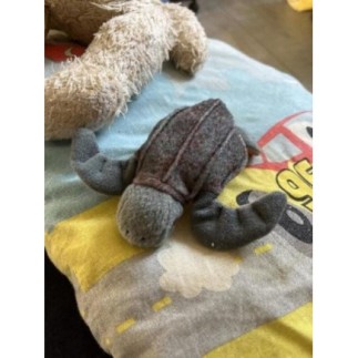 Peluche tortue 