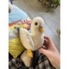 Peluche mouette 