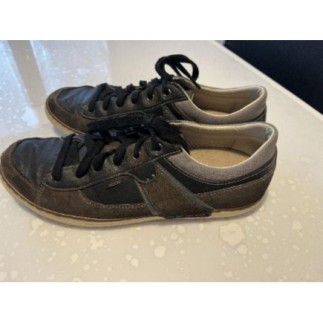 GEOX HOMME POINTURE 43