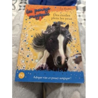 Roman enfant Les poneys...