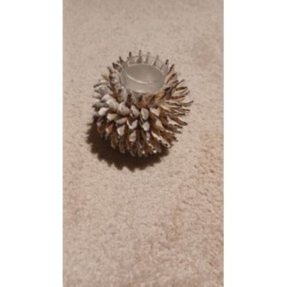 Bougeoir en coquillages