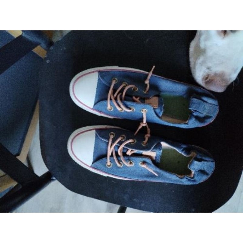 Converse bleue 40