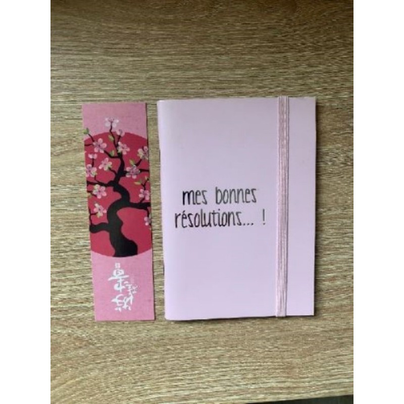 Petit carnet pages blanches et marque page