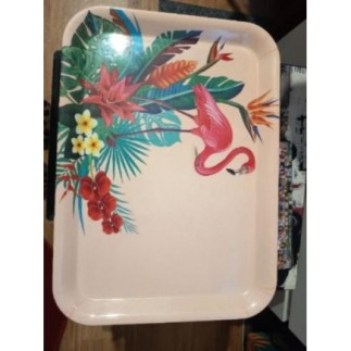 PLATEAU FLAMANT ROSE