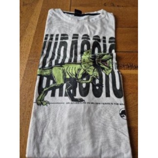 Tee shirt jurassique 14 ans 