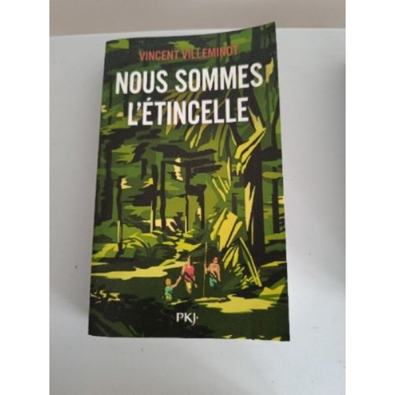 Nous sommes l'étincelle - Vincent Villeminot