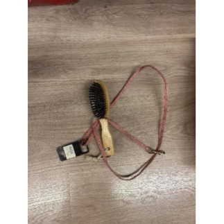 Laisse et brosse petit chien 