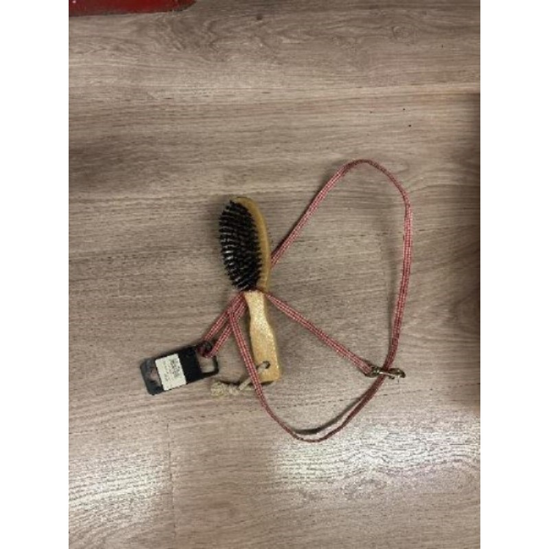 Laisse et brosse petit chien 