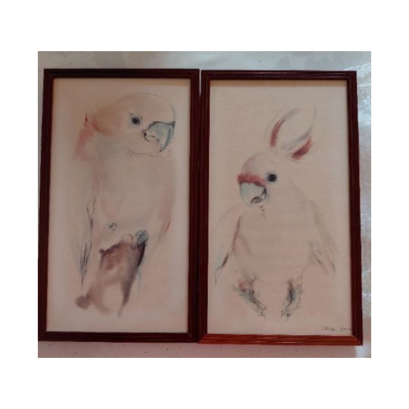 Cadre perroquet rose au fusain 