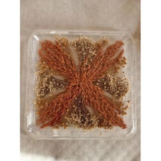 Plateau plexiglas fleurs...