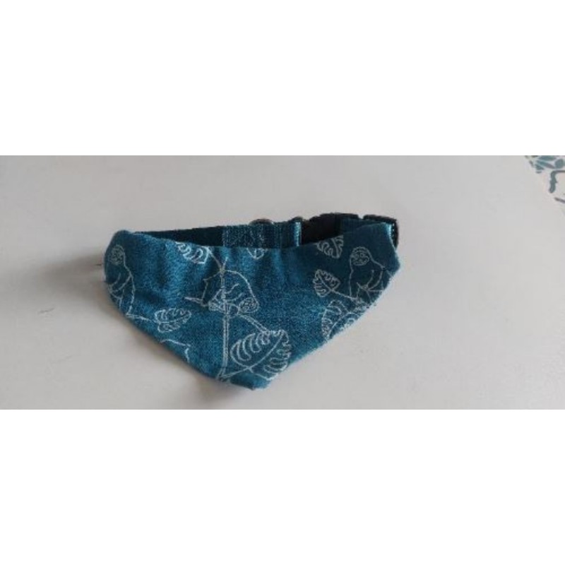 Collier chien avec bandeau