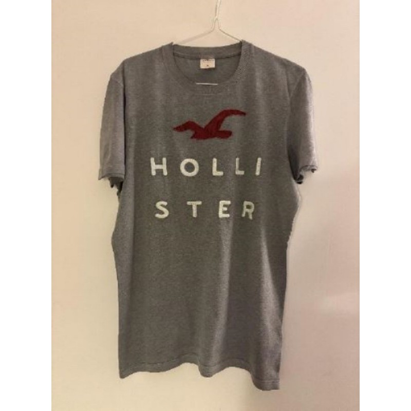 Tee shirt homme - Hollister - Taille L