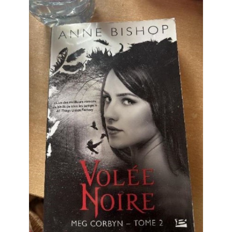 Anne Bishop, volée noir, tome deux
