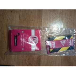 BANDEROLE ET 19 CARTE JEU EVJF