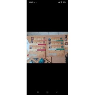 Jeux de société Harry Potter une année à Poudlard (Manque juste quelques Fiches Personnages)