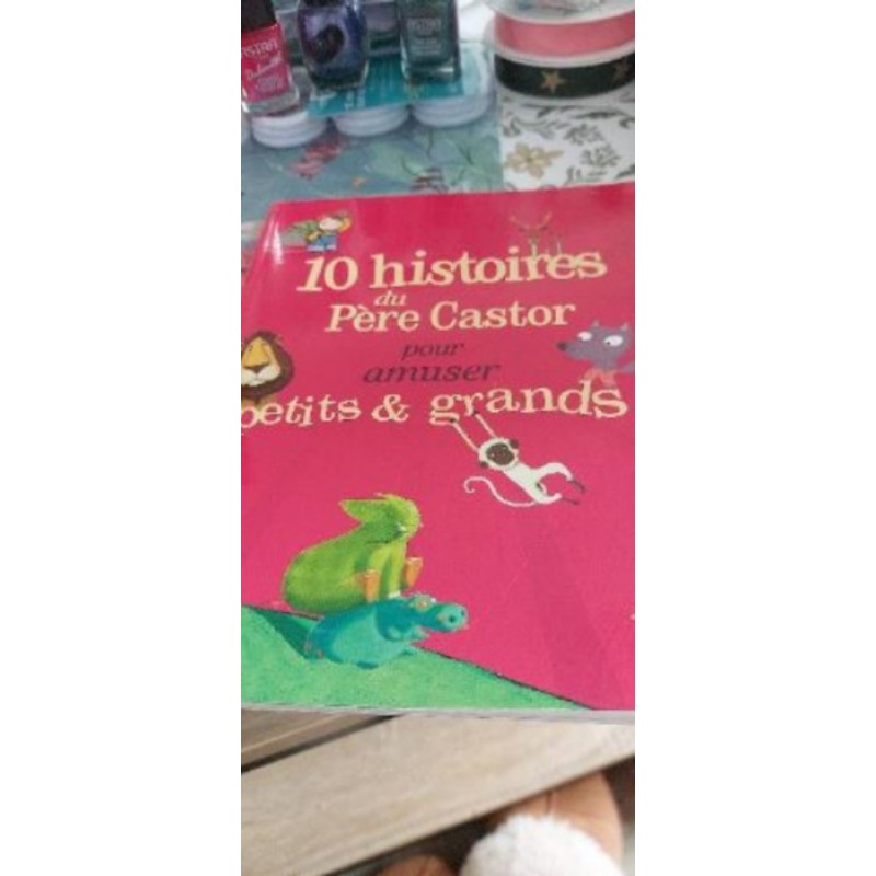10 histoire du père castor 