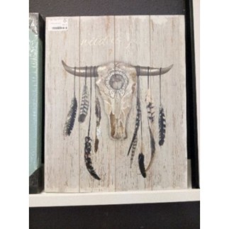 Tableau plumes et corne