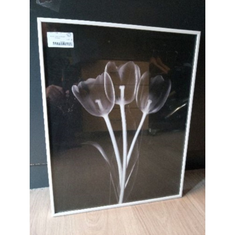 Tableau tulipe blanche sur fond noir