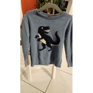 Pull Dinosaure bleu...