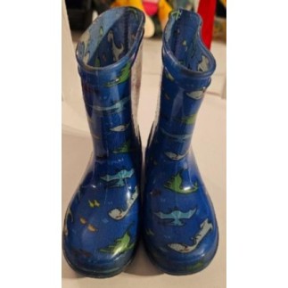Bottes de pluie Dinosaures...