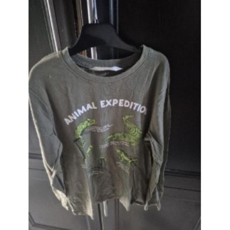 T-shirt H&M garçon 10ans vert