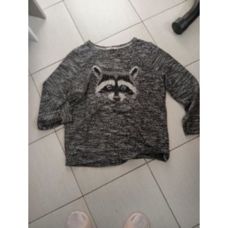 Pull camaïeu raton laveur Xl