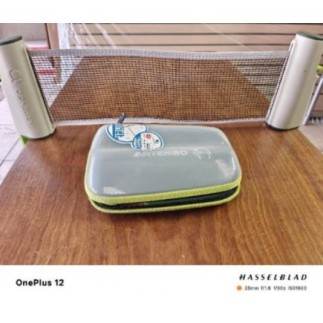 Artengo Filet pour Pong 