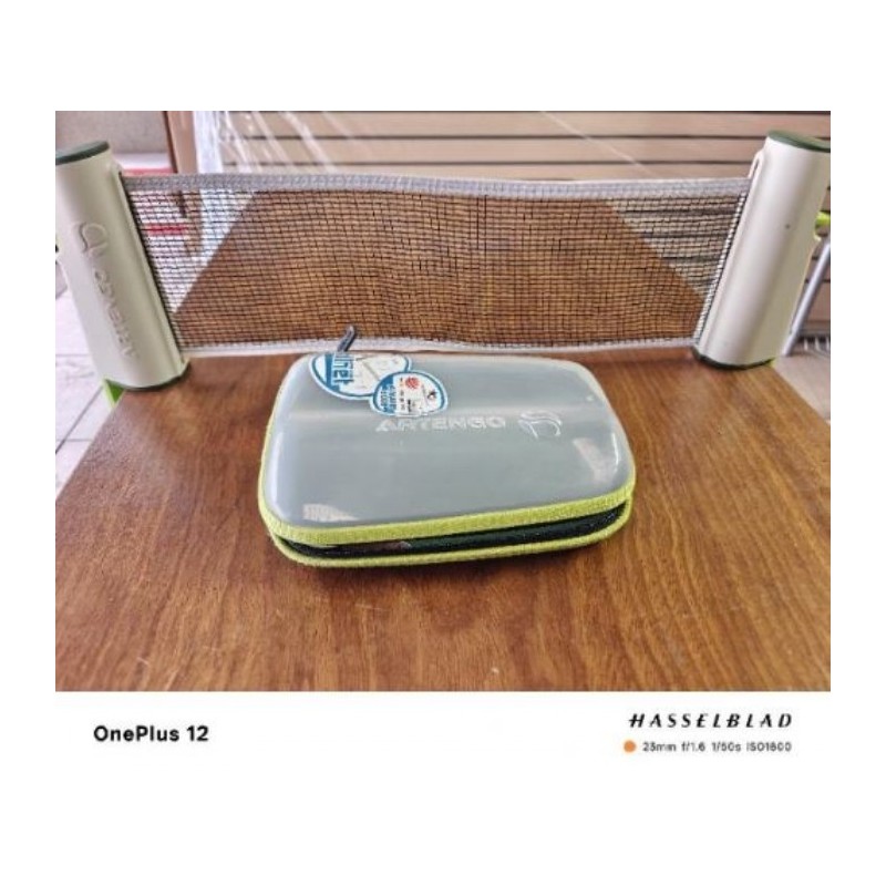 Artengo Filet pour Pong 