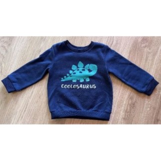 Pull dinosaure 2 ans