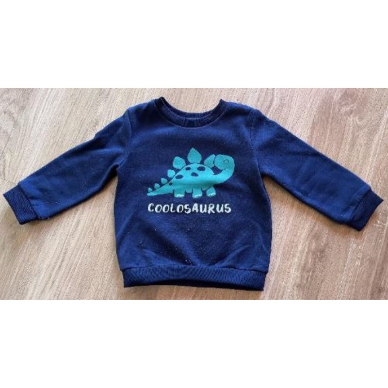 Pull dinosaure 2 ans